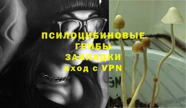 СК Инсар