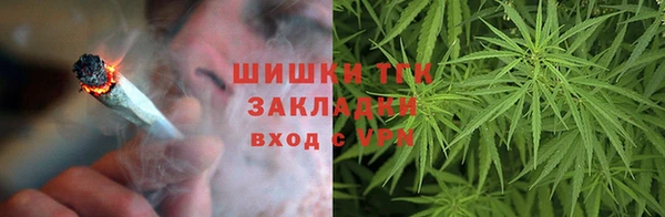 гидропоника Инта