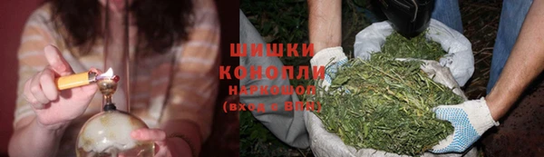 СК Инсар