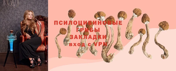 гидропоника Инта