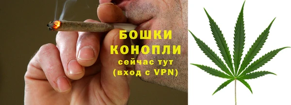 СК Инсар