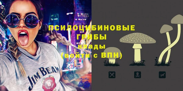 СК Инсар