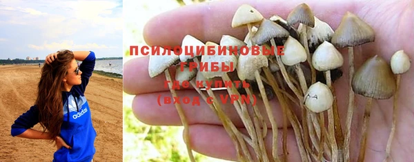 гидропоника Инта