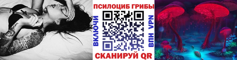Купить где  Гай  Галлюциногенные грибы ЛСД 