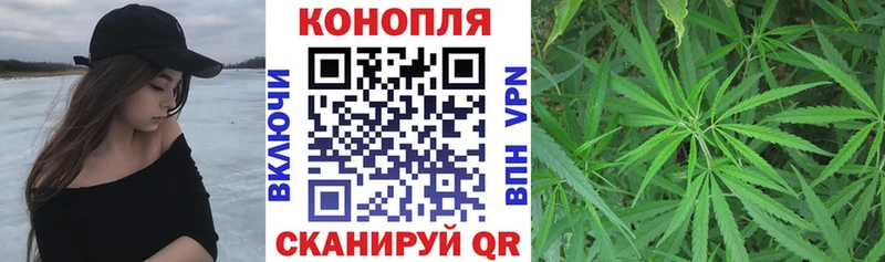 Шишки марихуана индика  Купить где  Гай 